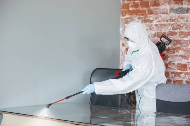 Best Residential Mold Inspection & Testing in Mapleton, MN